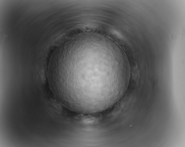 X0000089720774200707201820