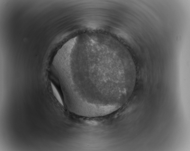 X0000089720776200707201820