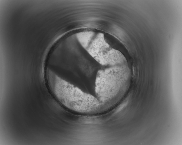 X0000089720780200707201820