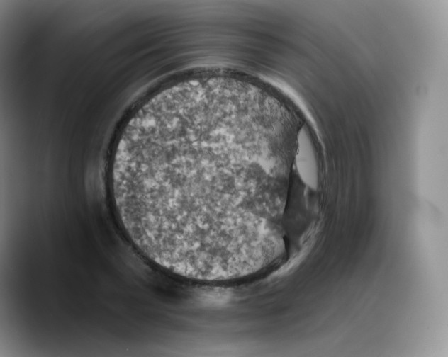 X0000089720783200707201820