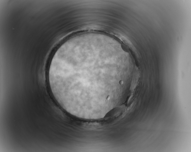 X0000089720784200707201820