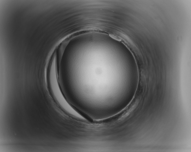 X0000089720788200707201820