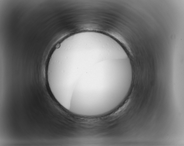 X0000089720790200707201820