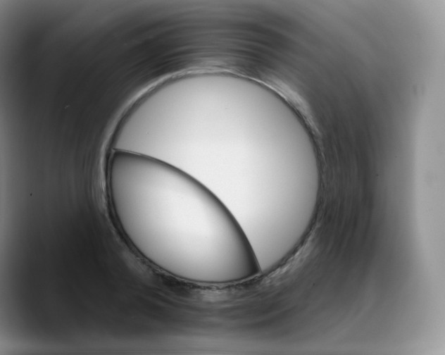 X0000089720792200707201820