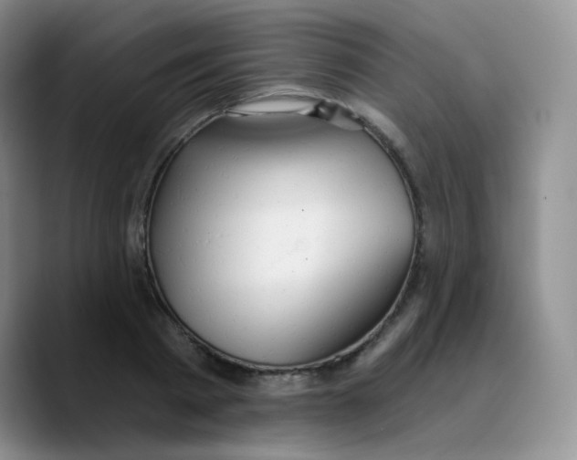 X0000089720793200707201820