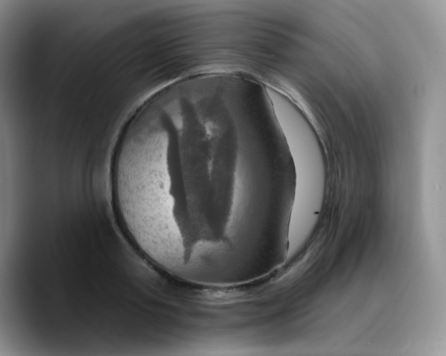 X0000089720795200707201820