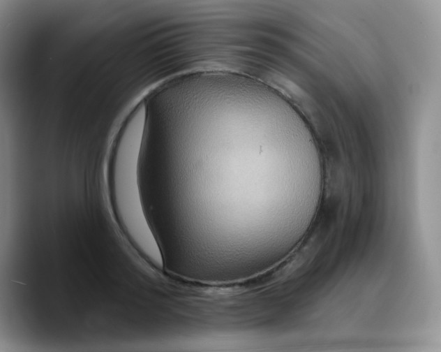 X0000089720796200707201820