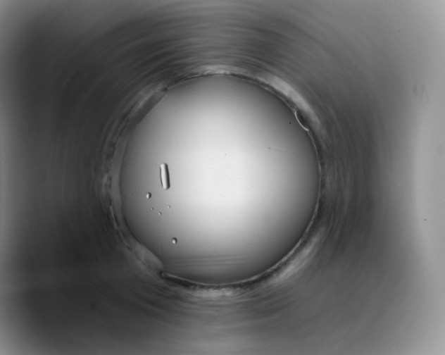 X0000089720801200707201819