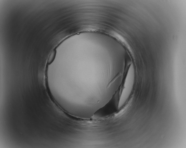 X0000089720802200707201819