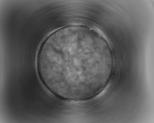 X0000089720803200707201819