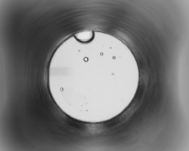 X0000089720804200707201819