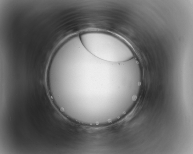 X0000089720807200707201819
