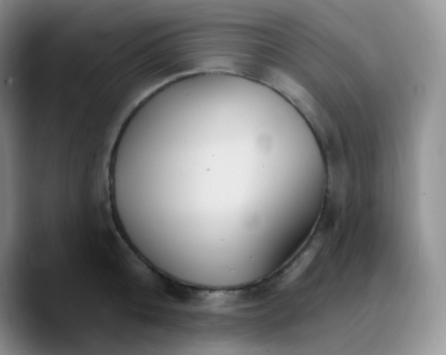 X0000089720808200707201819