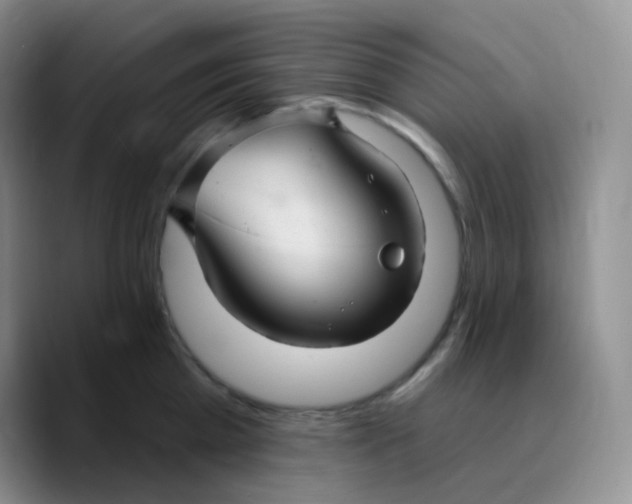 X0000089720809200707201819