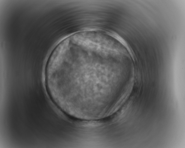 X0000089720811200707201819