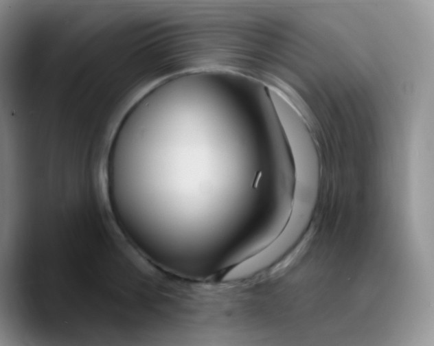 X0000089720812200707201819