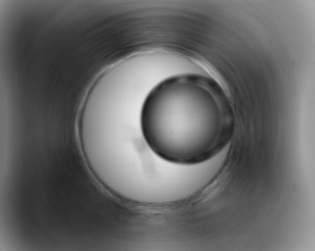 X0000089720813200707201819