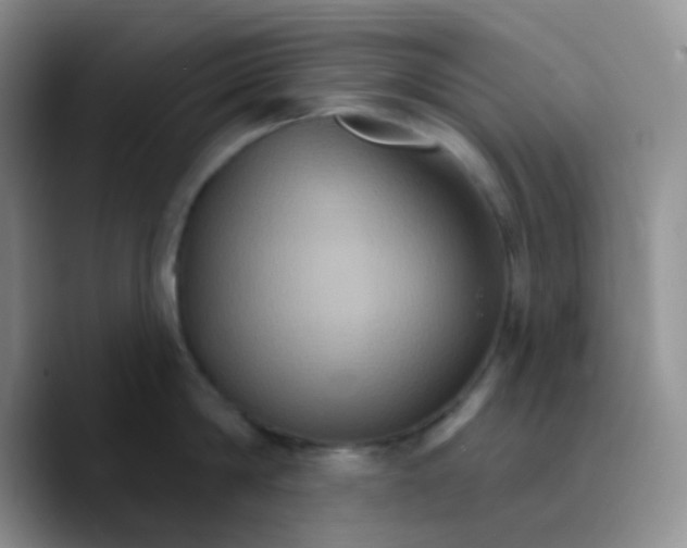 X0000089720814200707201819