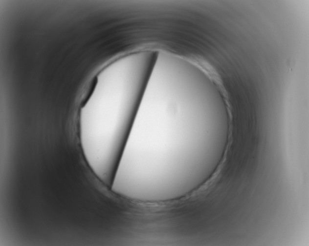X0000089720816200707201819