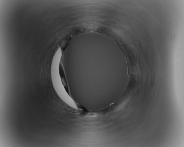 X0000089720818200707201819