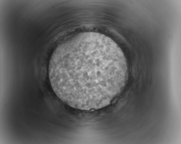 X0000089720821200707201819