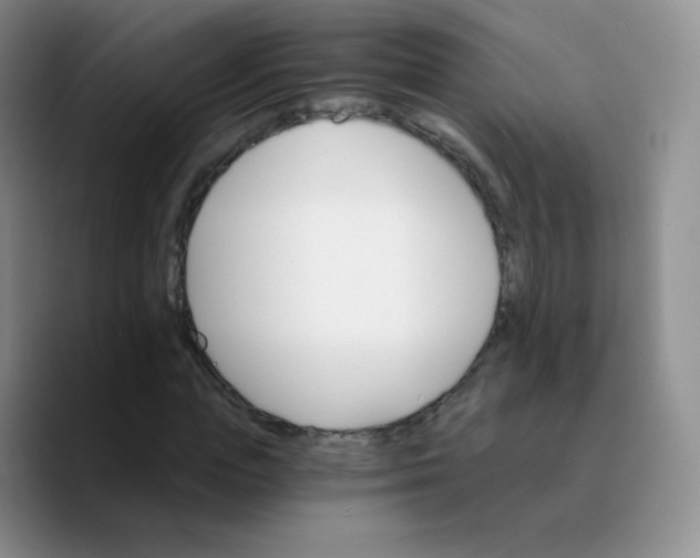 X0000089720823200707201819