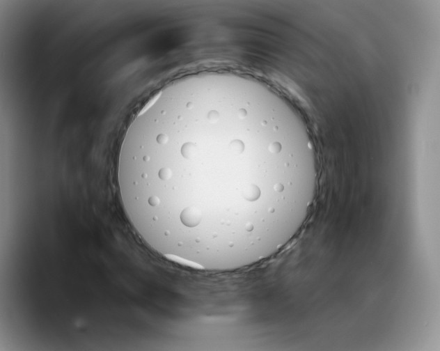 X0000089720824200707201819