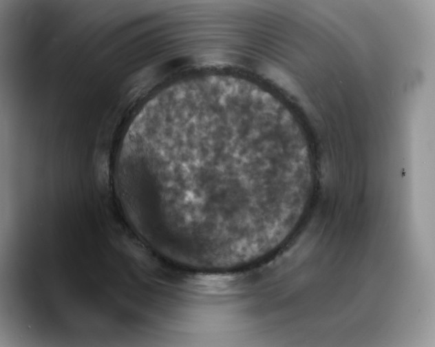 X0000089720825200707201819