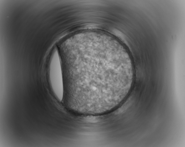 X0000089720827200707201819