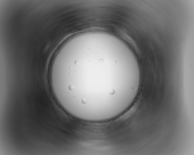 X0000089720828200707201819