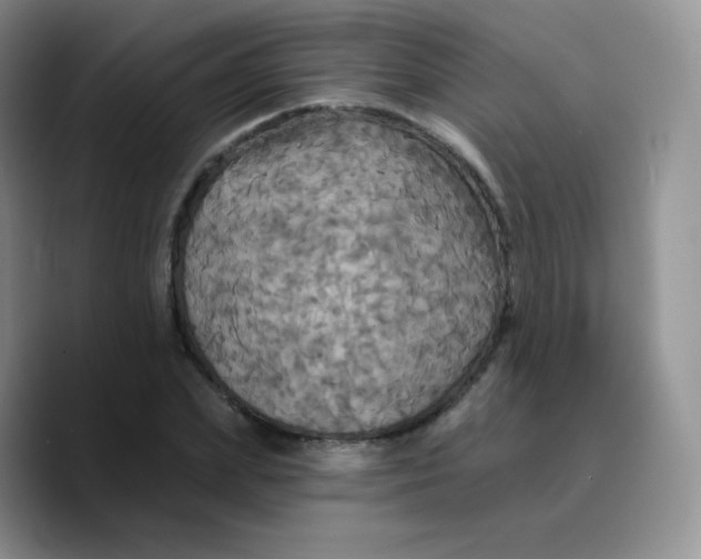 X0000089720831200707201819