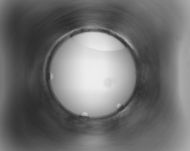 X0000089720832200707201819