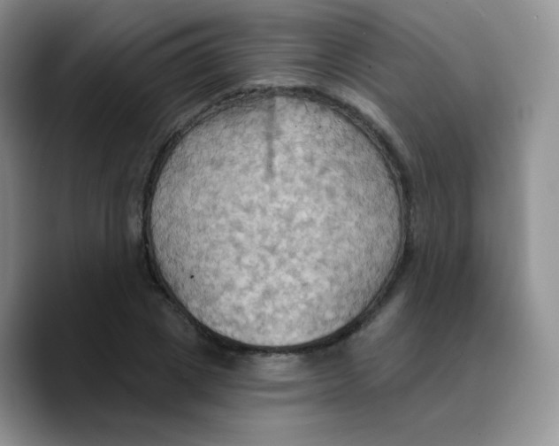 X0000089720833200707201819