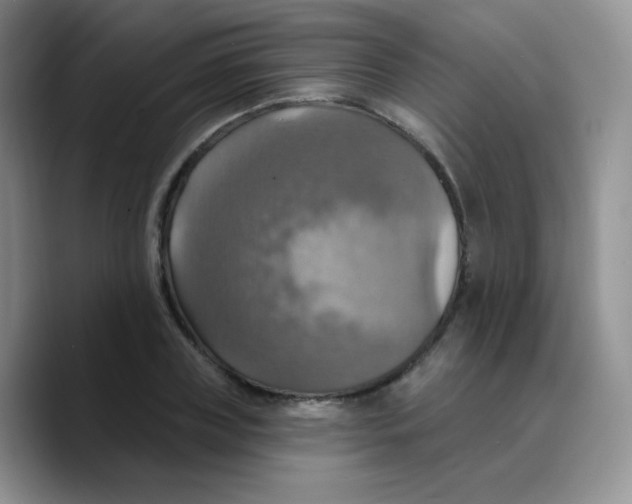 X0000089720835200707201819