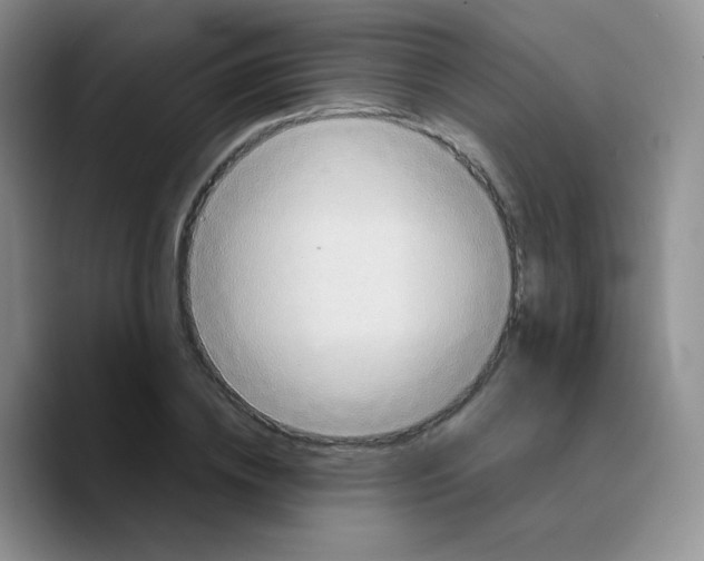 X0000089720836200707201819