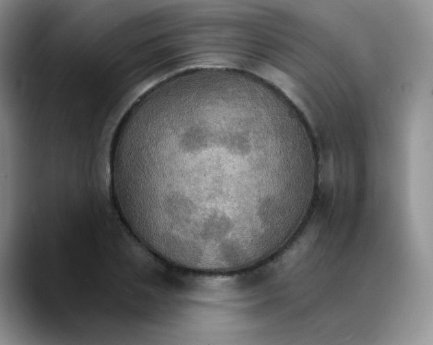 X0000089720837200707201819