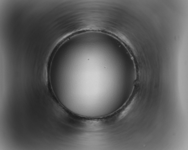 X0000089720838200707201819