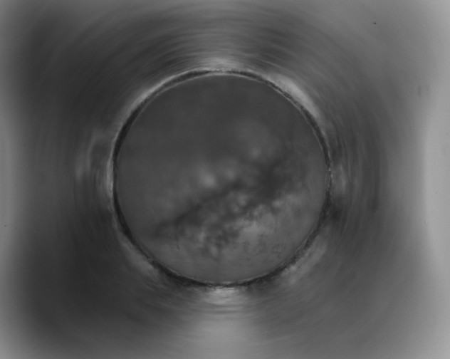 X0000089720839200707201819