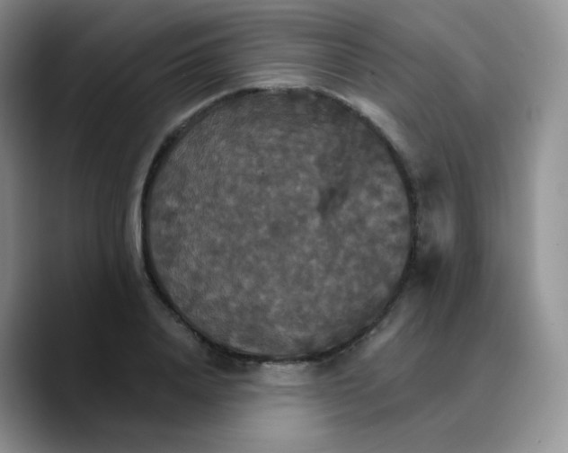 X0000089720840200707201819