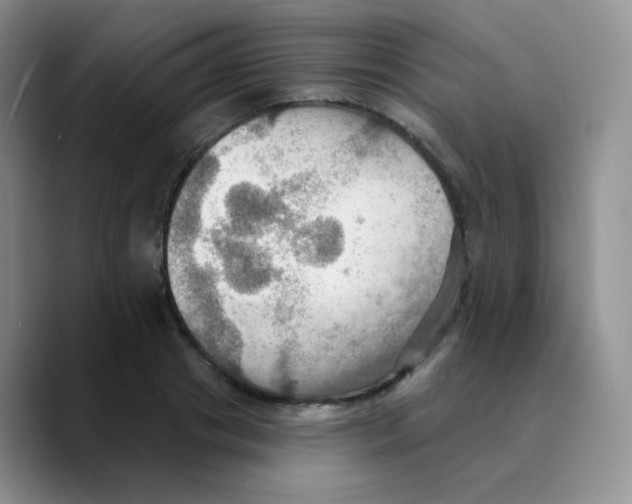 X0000089720841200707201819
