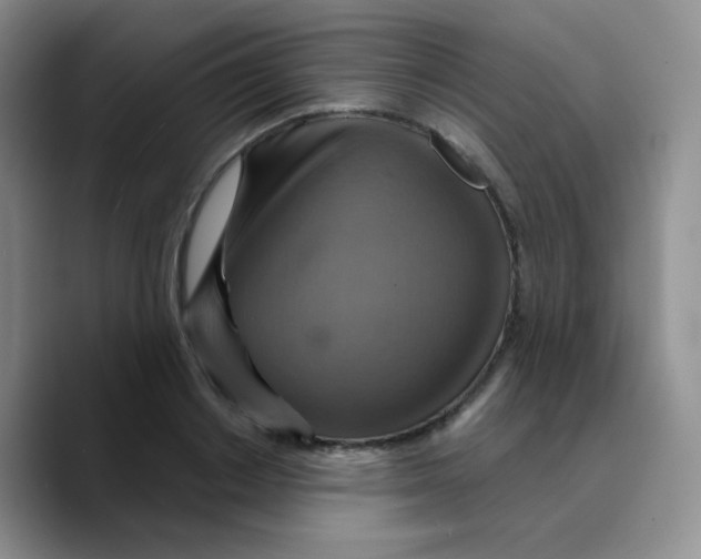 X0000089720842200707201819