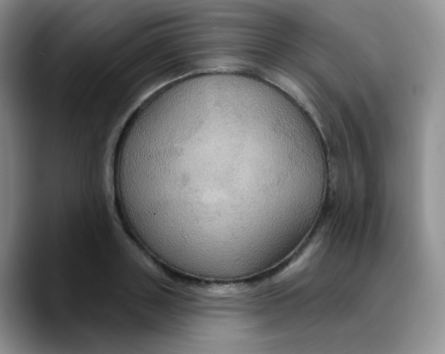 X0000089720843200707201819