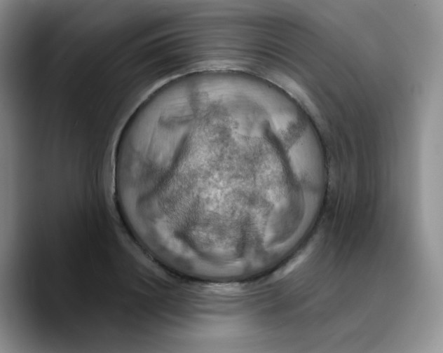 X0000089720844200707201819