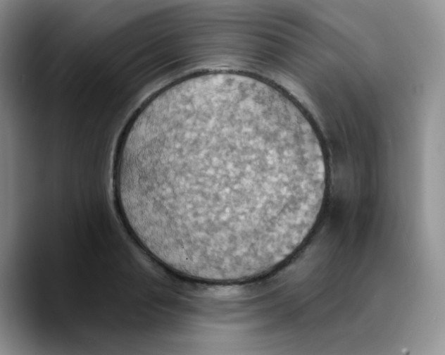 X0000089720845200707201819