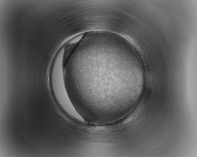 X0000089720846200707201819