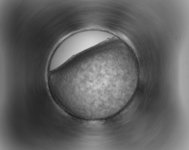 X0000089720847200707201819