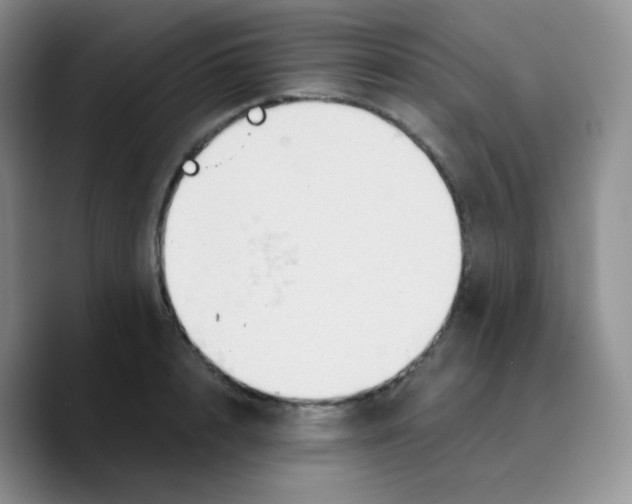 X0000089720848200707201819