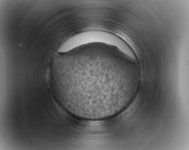 X0000089720849200707201819