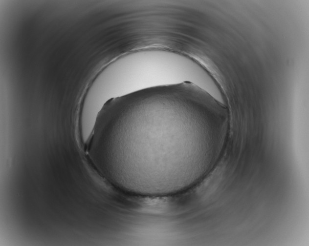X0000089720850200707201819