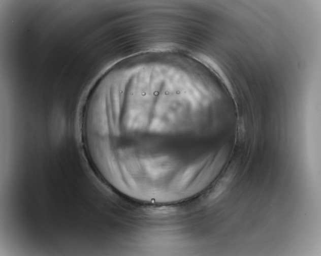 X0000089720851200707201819